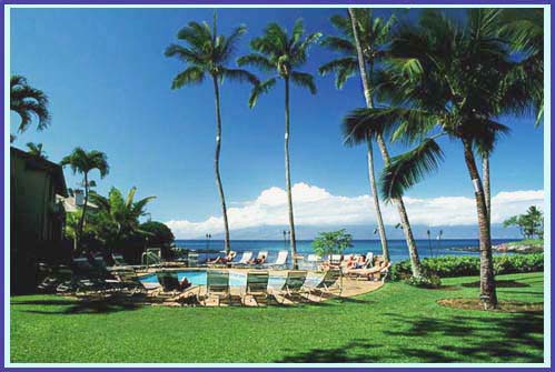 The Cove